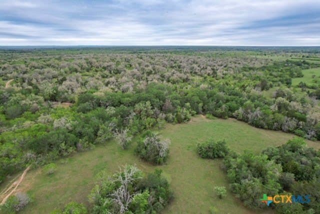 233.59 acres in Gonzales County - photo 29