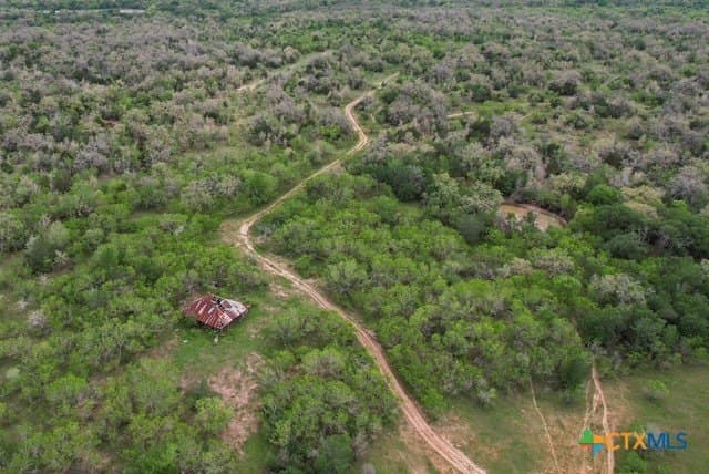 233.59 acres in Gonzales County - photo 28