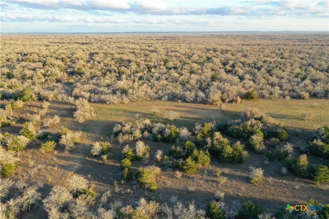 233.59 acres in Gonzales County - photo 34