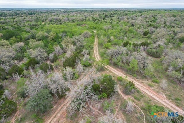 233.59 acres in Gonzales County - photo 20