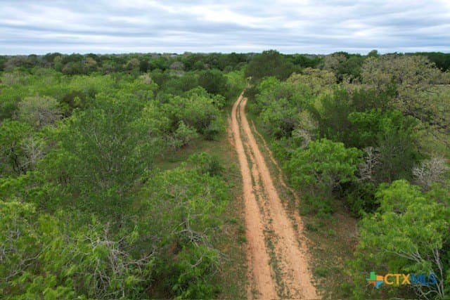 233.59 acres in Gonzales County - photo 3