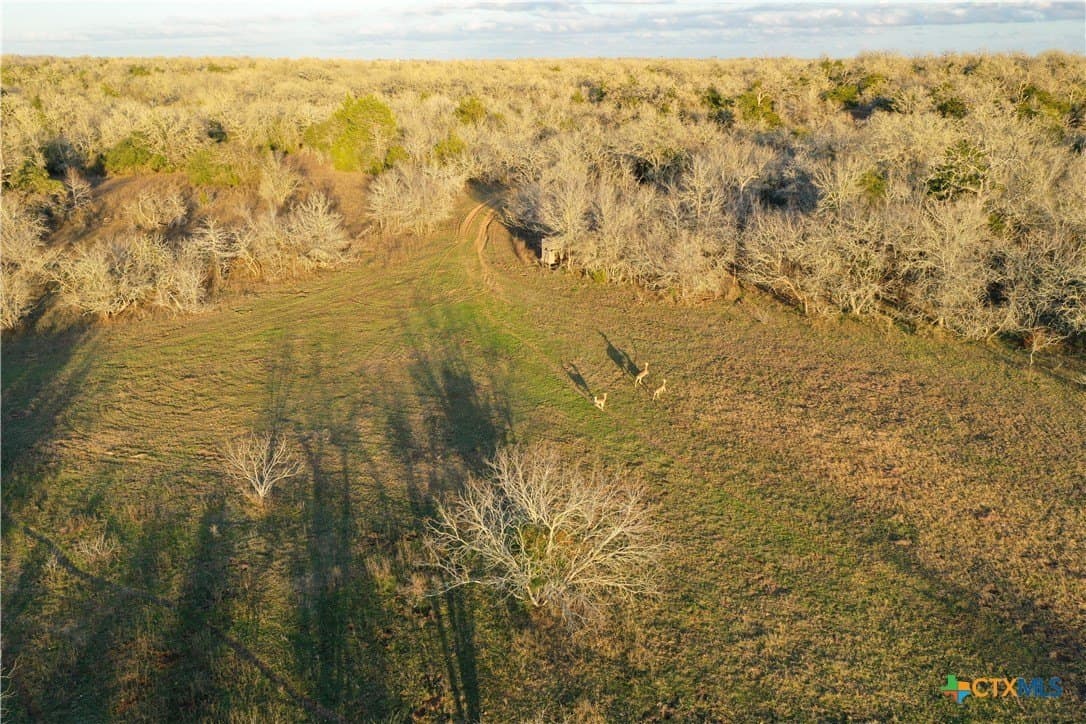 233.59 acres in Gonzales County - photo 33