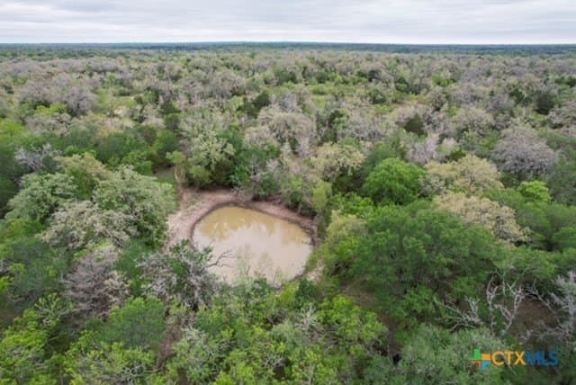 233.59 acres in Gonzales County - photo 13