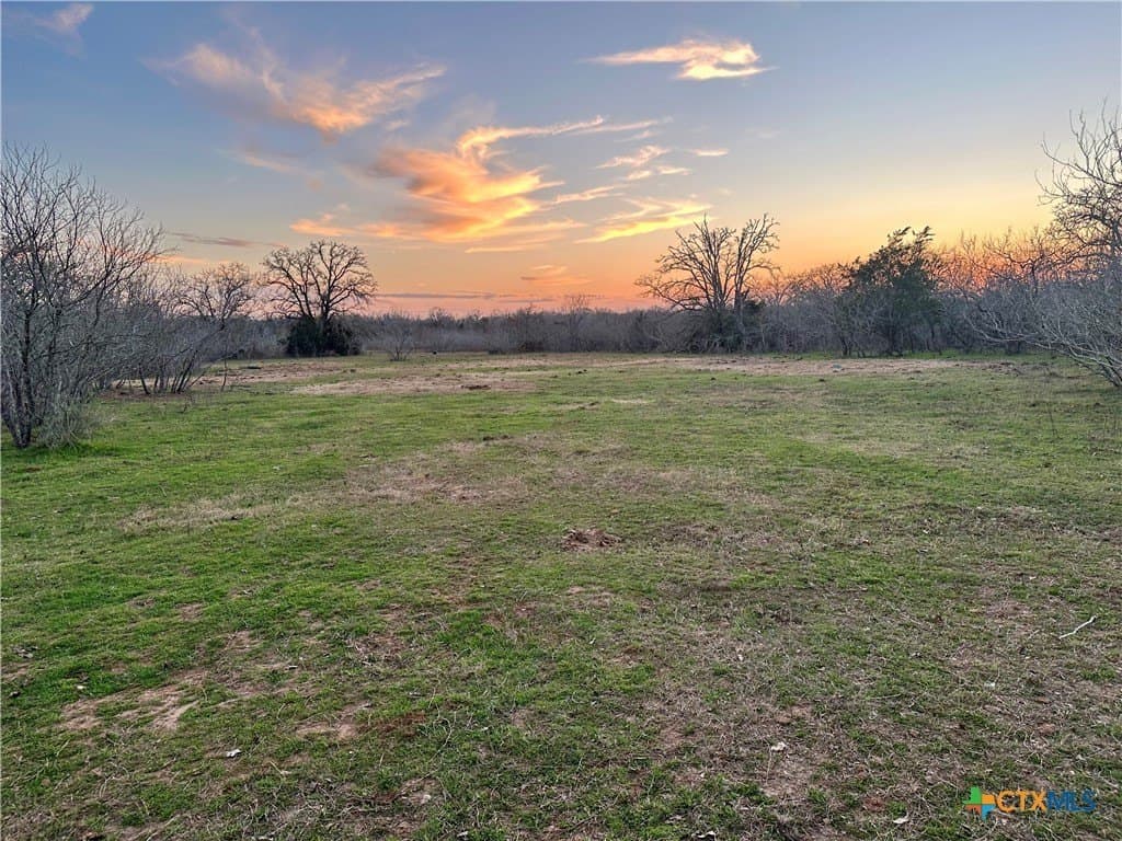 233.59 acres in Gonzales County - photo 6