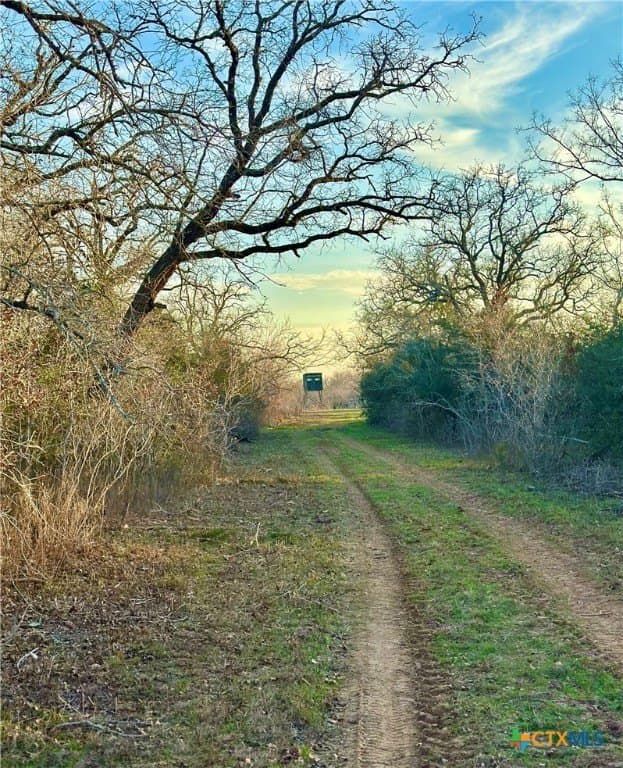 233.59 acres in Gonzales County - photo 10