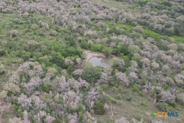 233.59 acres in Gonzales County - photo 25