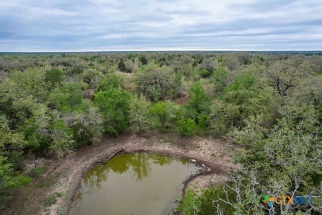 233.59 acres in Gonzales County - photo 19