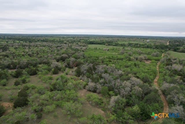 233.59 acres in Gonzales County - photo 24