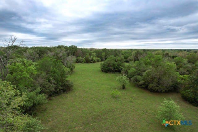 233.59 acres in Gonzales County - photo 2