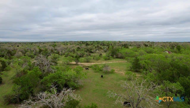 233.59 acres in Gonzales County - photo 30