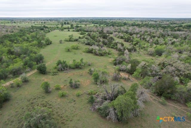 233.59 acres in Gonzales County - photo 14