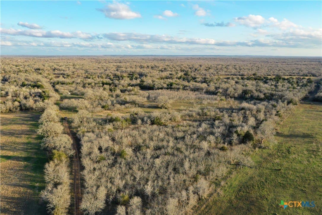 233.59 acres in Gonzales County - photo 36