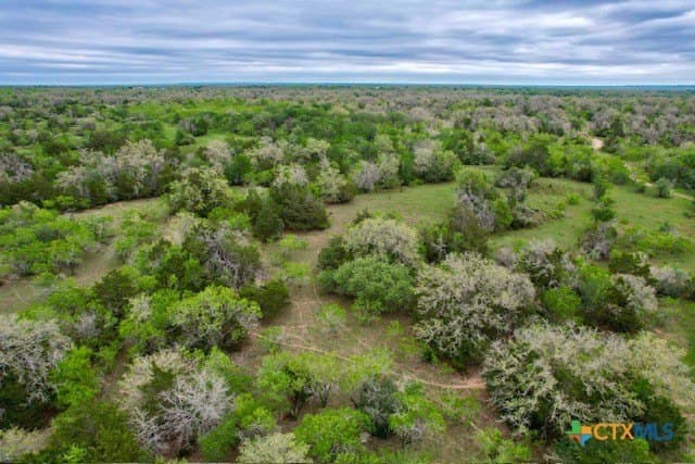 233.59 acres in Gonzales County - photo 15