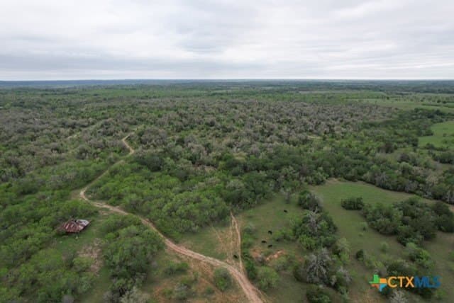 233.59 acres in Gonzales County - photo 23