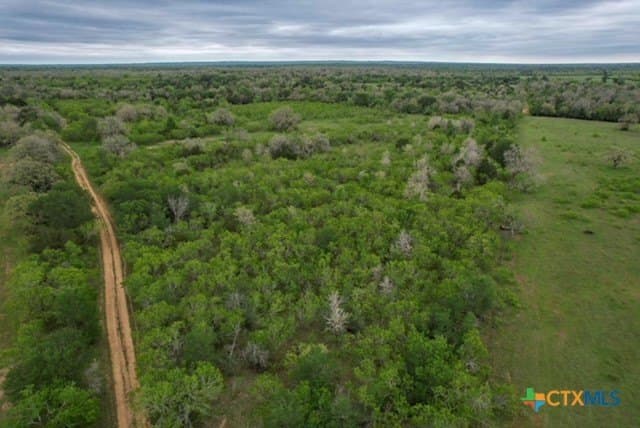 233.59 acres in Gonzales County - photo 17