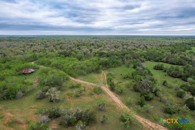 233.59 acres in Gonzales County - photo 27