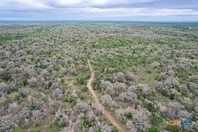 233.59 acres in Gonzales County - photo 26