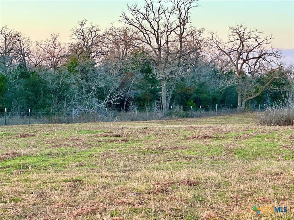 233.59 acres in Gonzales County - photo 7