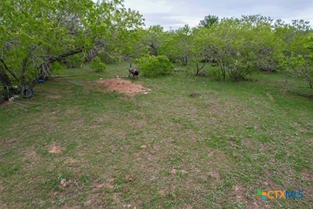 233.59 acres in Gonzales County - photo 16