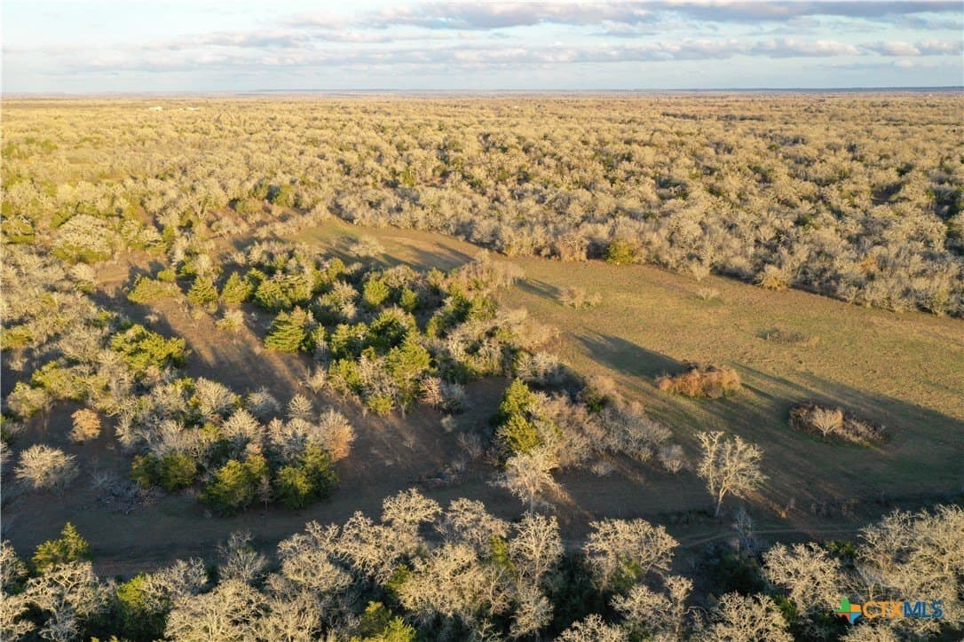 233.59 acres in Gonzales County - photo 35