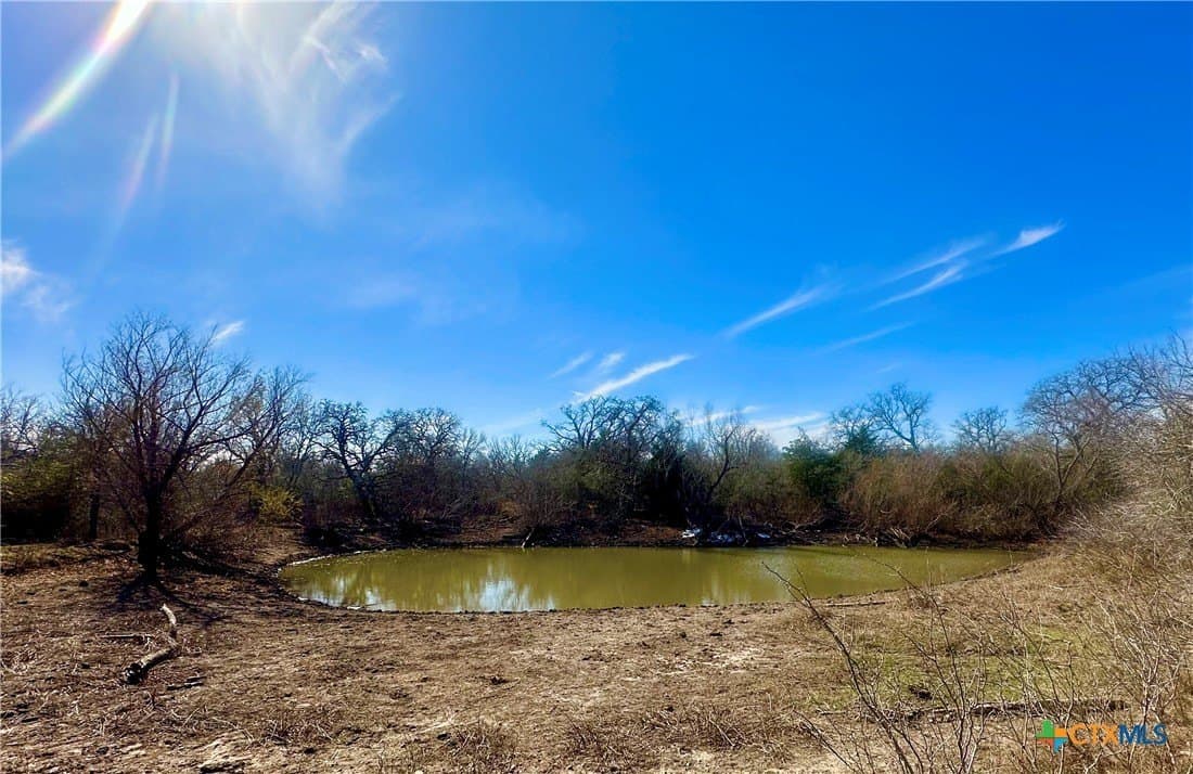 233.59 acres in Gonzales County - photo 11