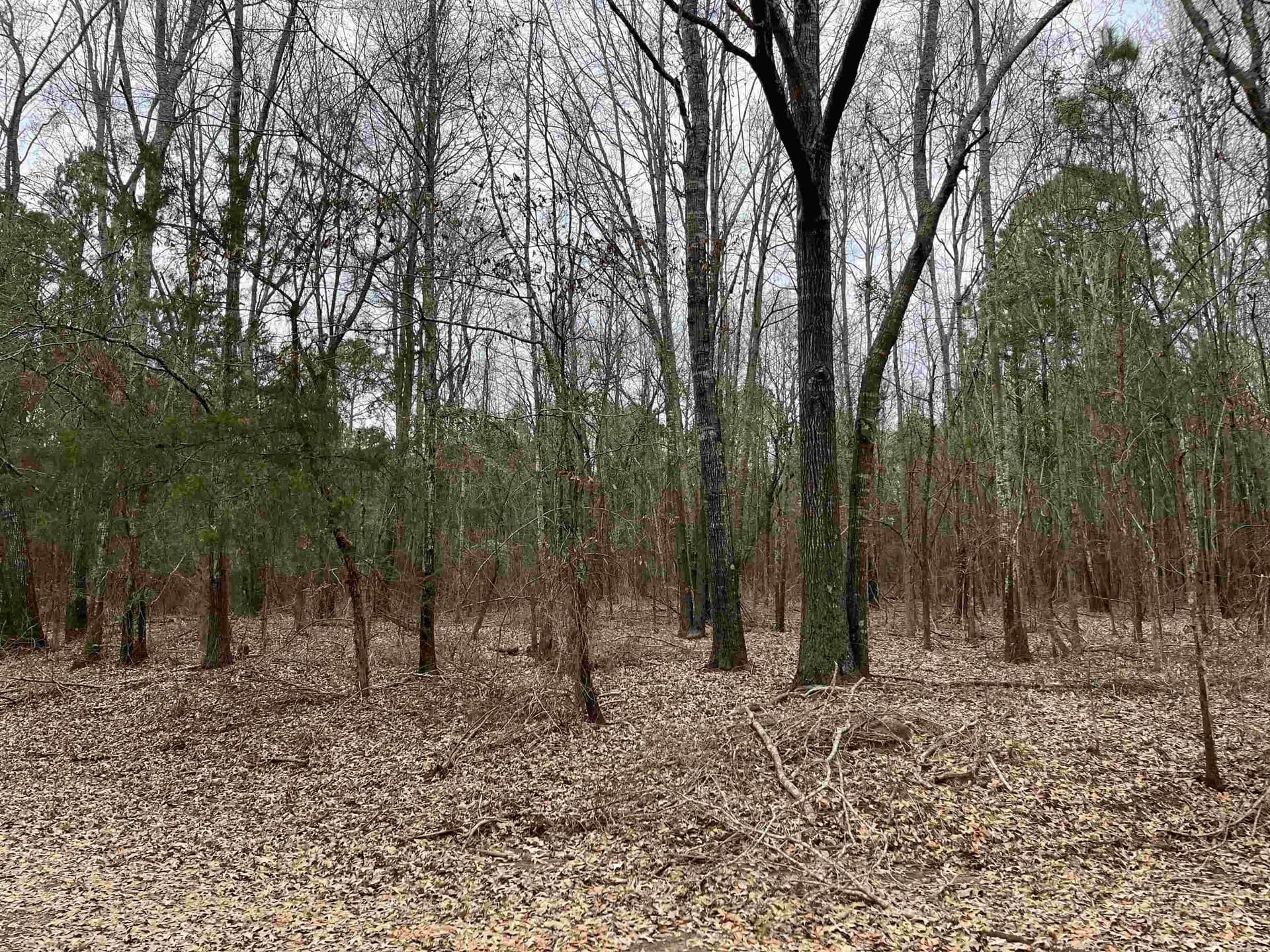 10.72 acres in Texas County - photo 3