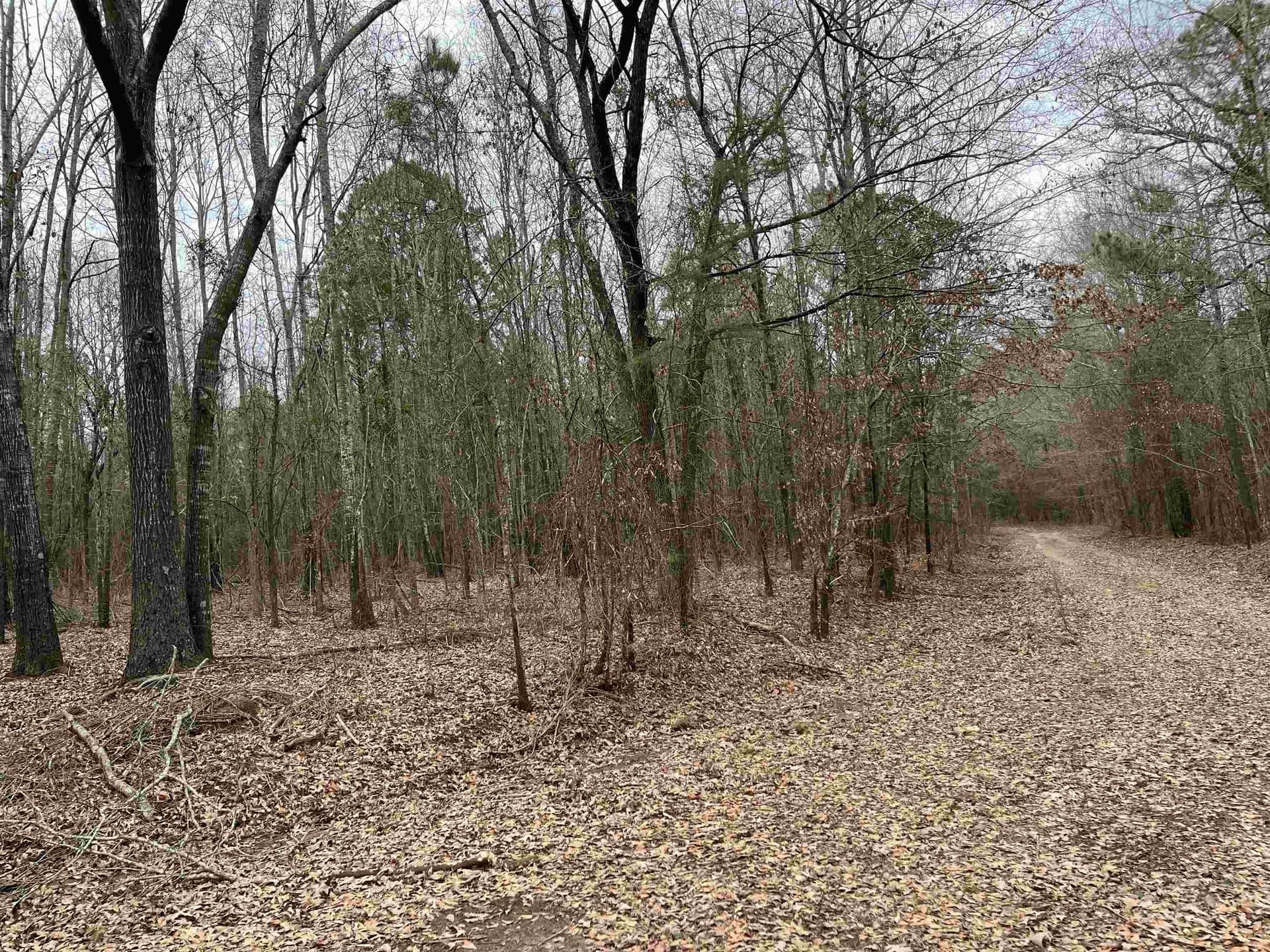 10.72 acres in Texas County - photo 2