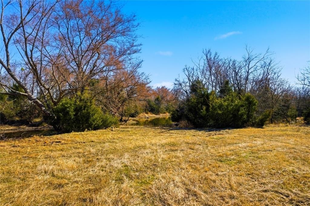 17 acres in Hopkins County - photo 4