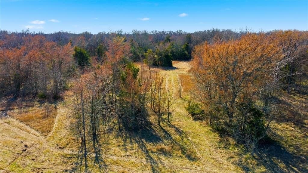 17 acres in Hopkins County - photo 19
