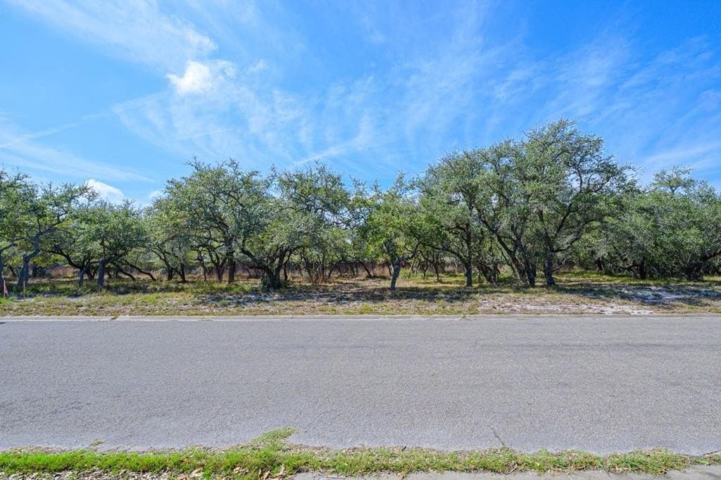 0 acres in Texas County - photo 13