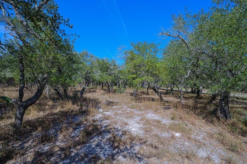 0 acres in Texas County - photo 11