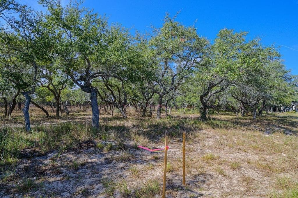 0 acres in Texas County - photo 6