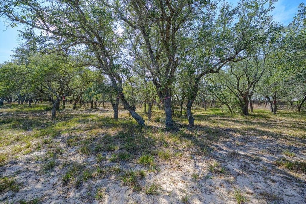 0 acres in Texas County - photo 8