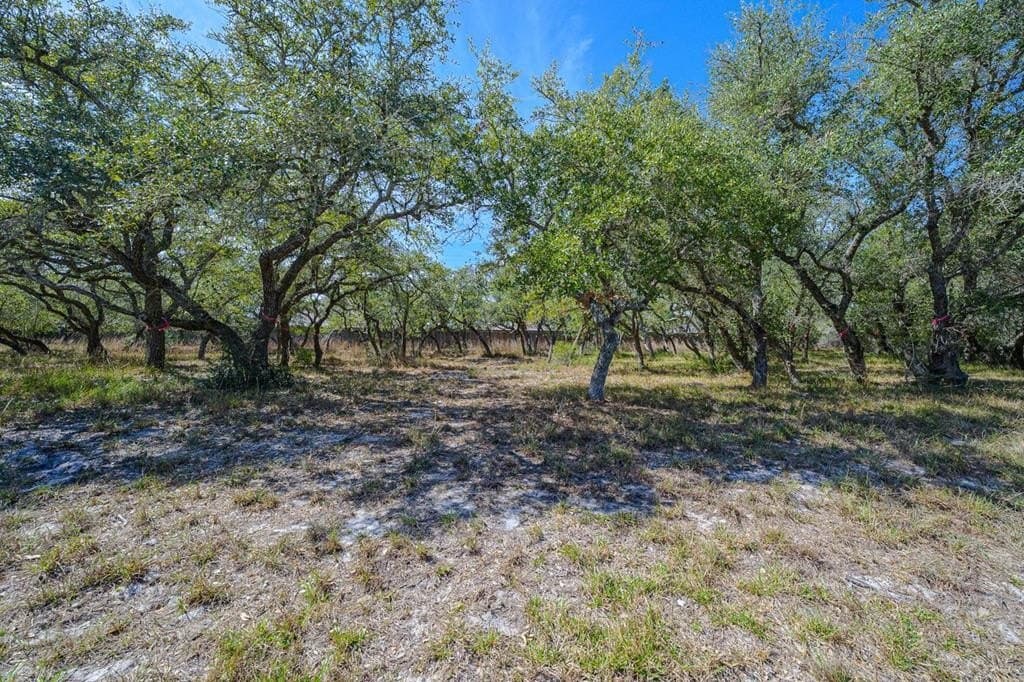 0 acres in Texas County - photo 7