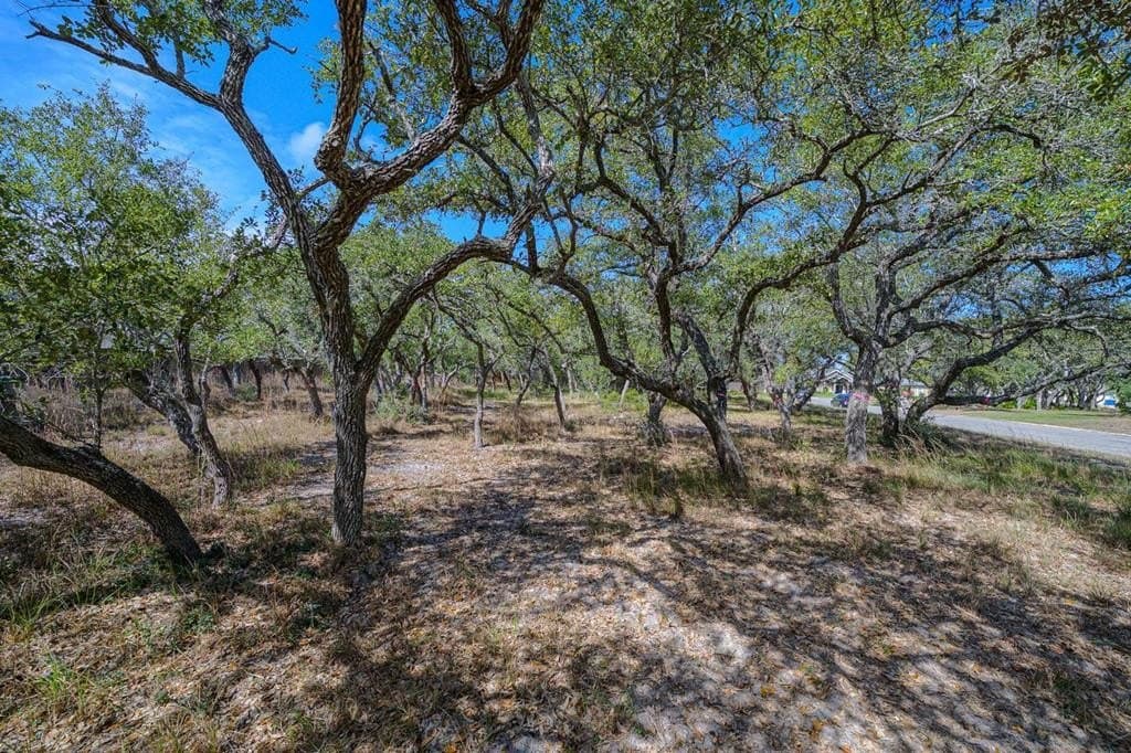 0 acres in Texas County - photo 10