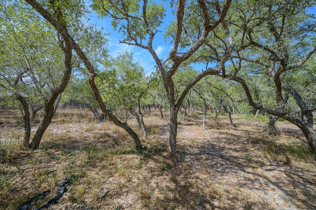 0 acres in Texas County - photo 9