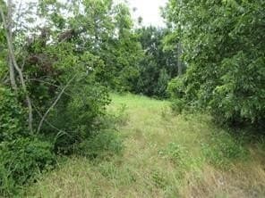 3.26 acres in Fannin County - photo 5
