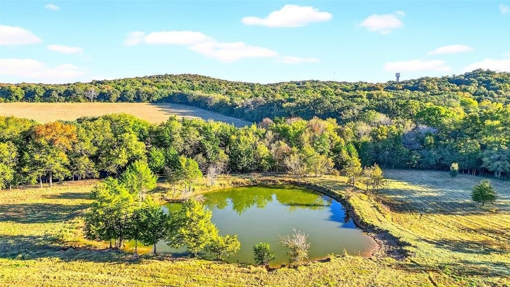 39.81 acres in Grayson County - photo 18