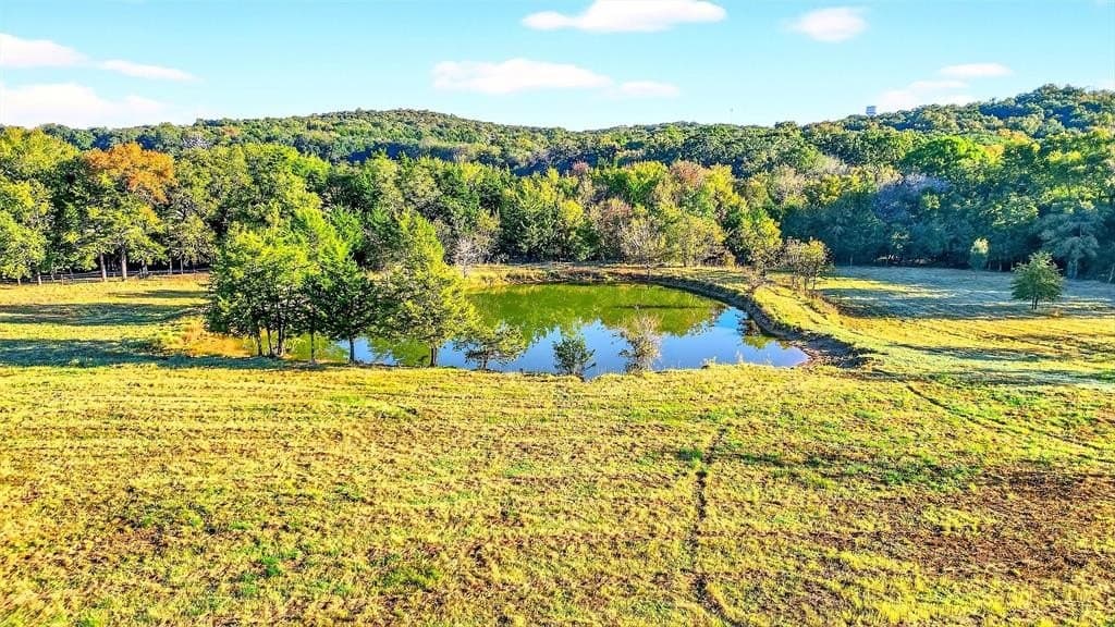 39.81 acres in Grayson County - photo 20