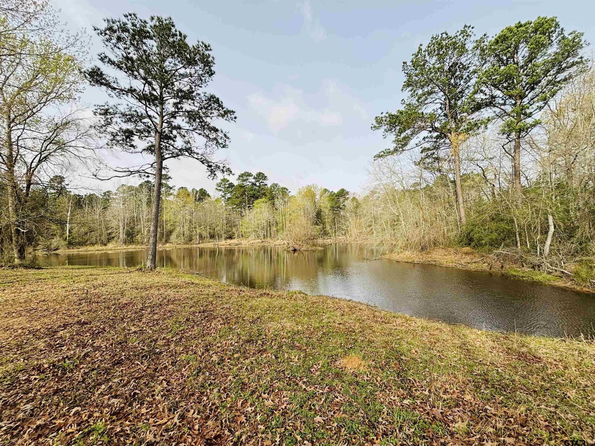 23.89 acres in Rusk County - photo 9
