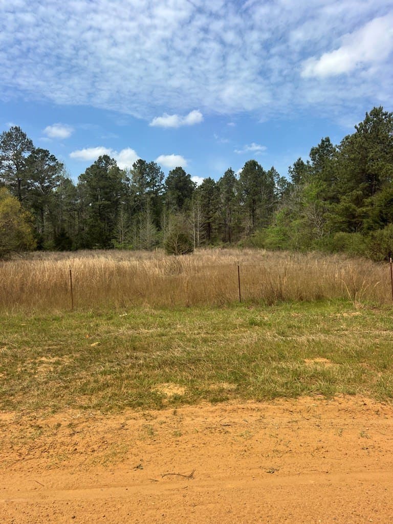 147.5 acres in Anderson County - photo 3