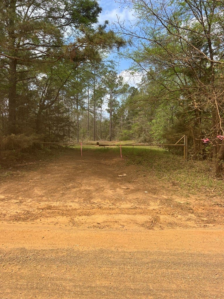 147.5 acres in Anderson County - photo 5