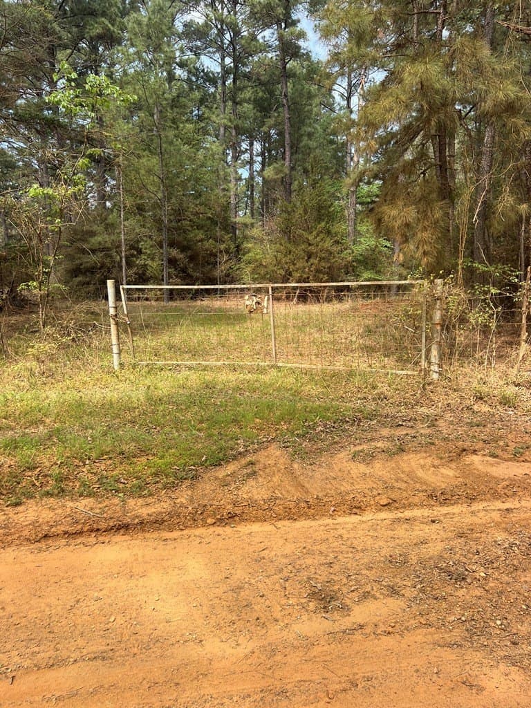 147.5 acres in Anderson County - photo 2