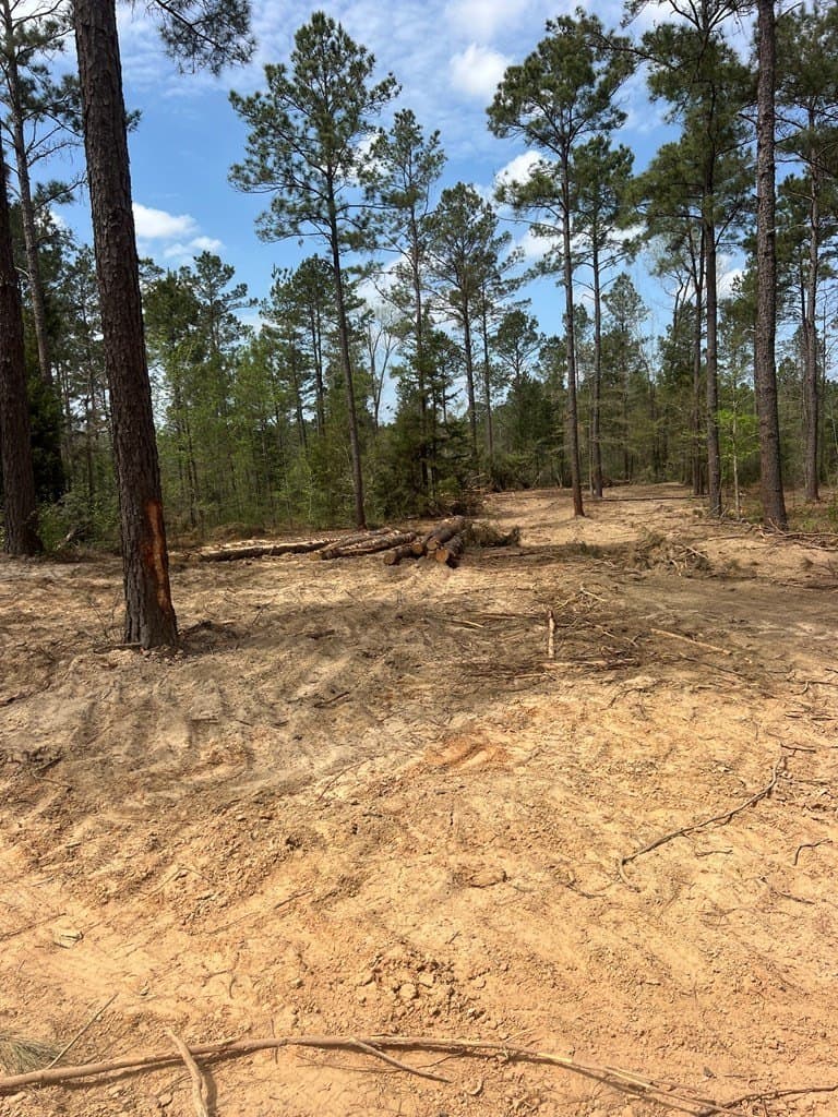 147.5 acres in Anderson County - photo 4