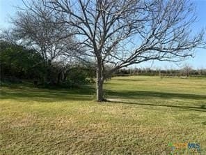 18.3 acres in Victoria County - photo 12
