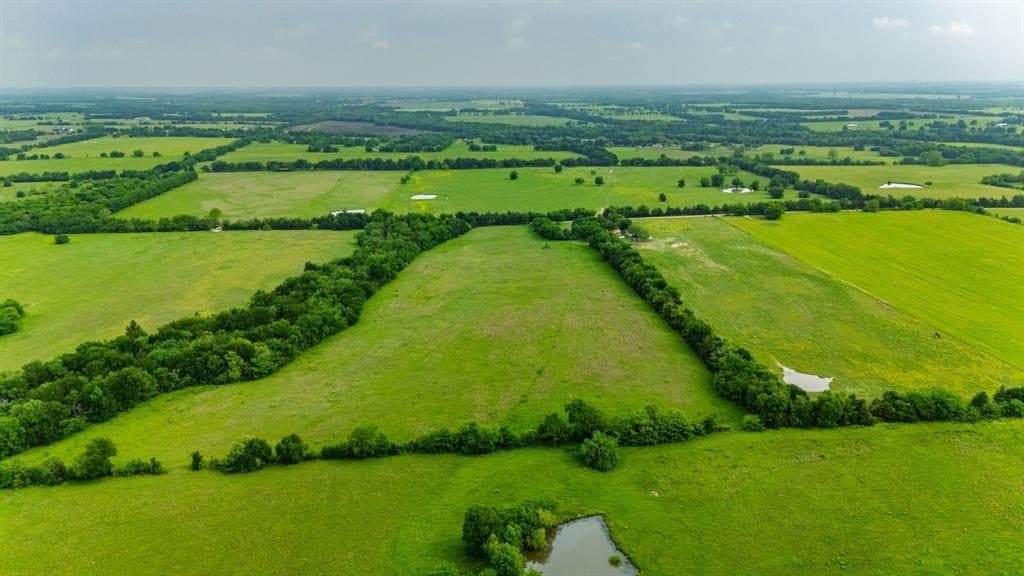 20 acres in Hunt County - photo 6