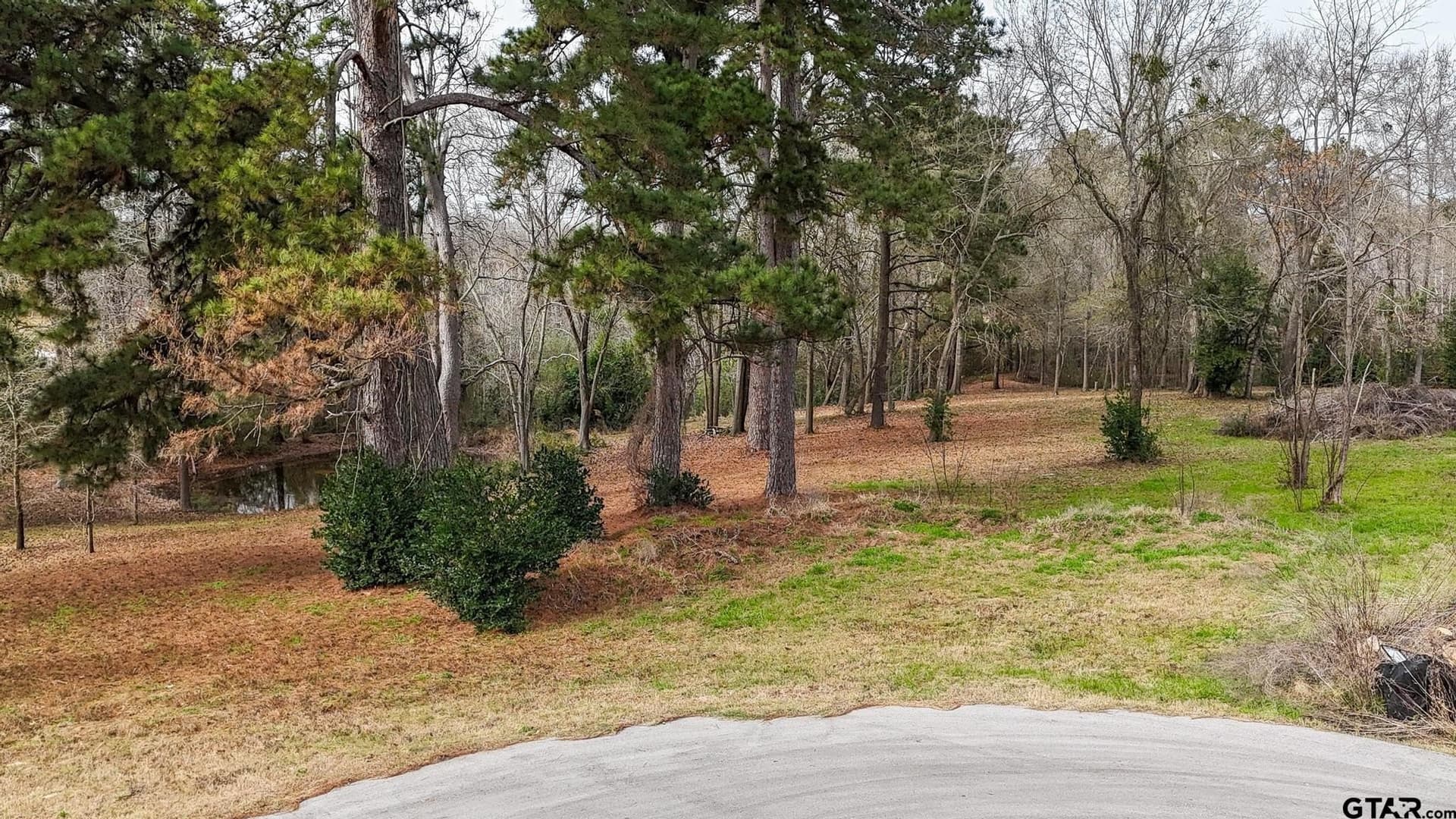 1.69 acres in Henderson County - photo 4