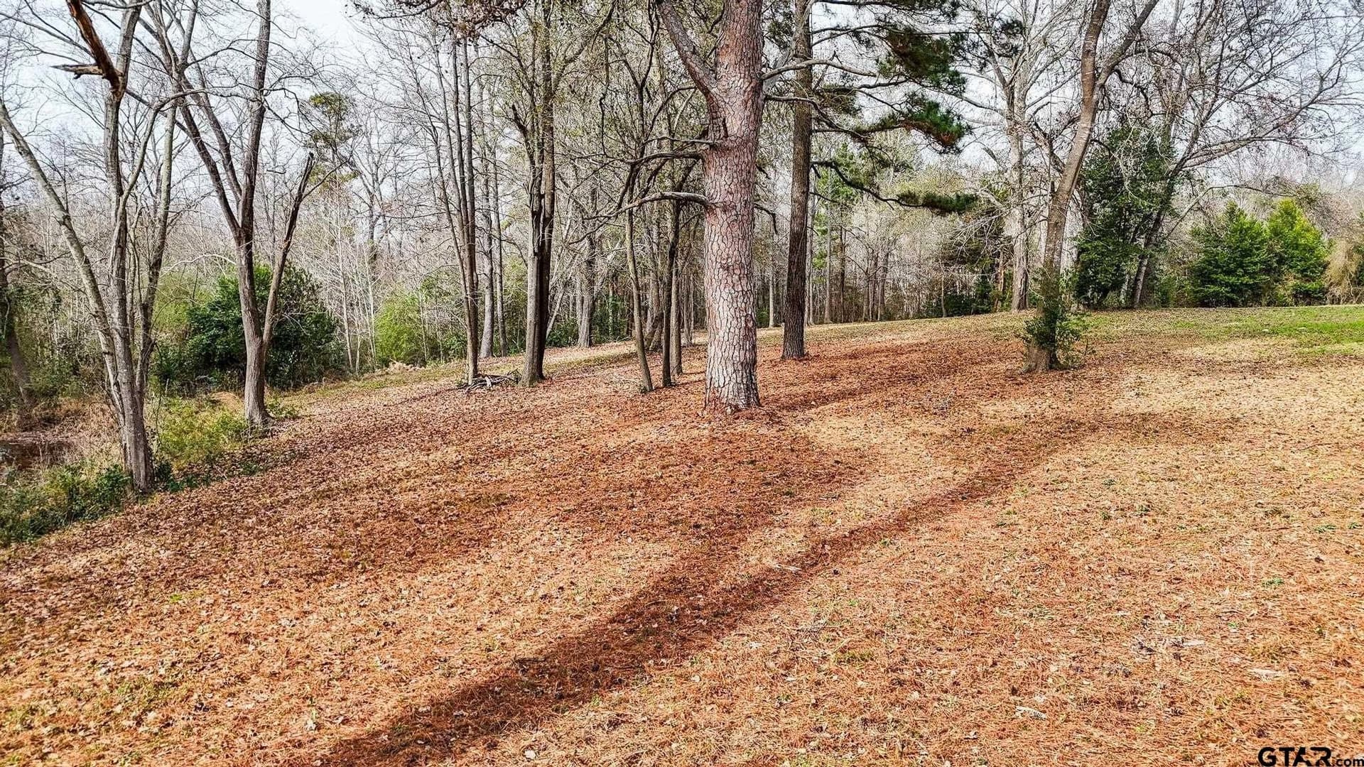 1.69 acres in Henderson County - photo 3