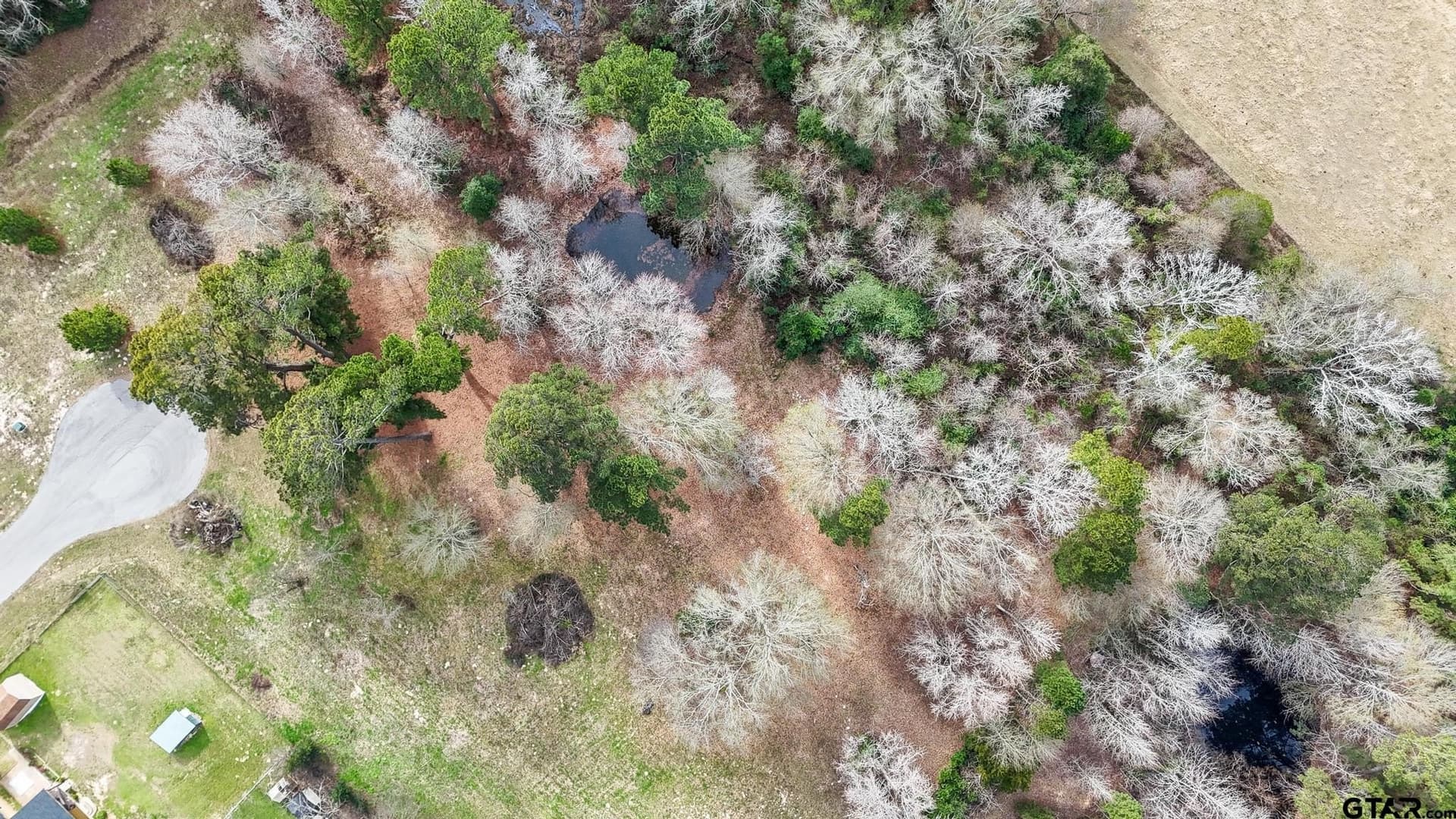 1.69 acres in Henderson County - photo 5