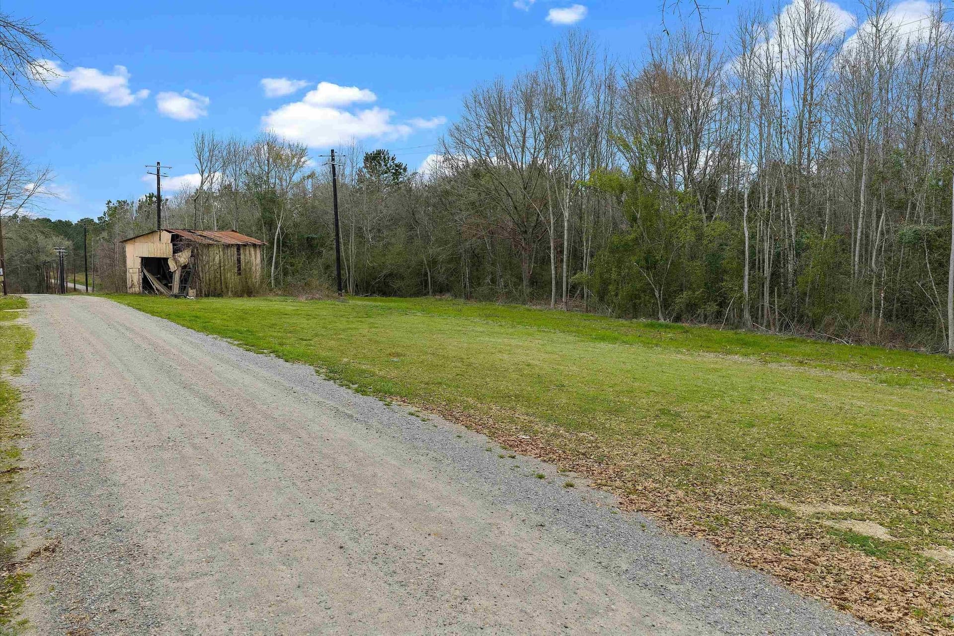 28.82 acres in Shelby County - photo 6